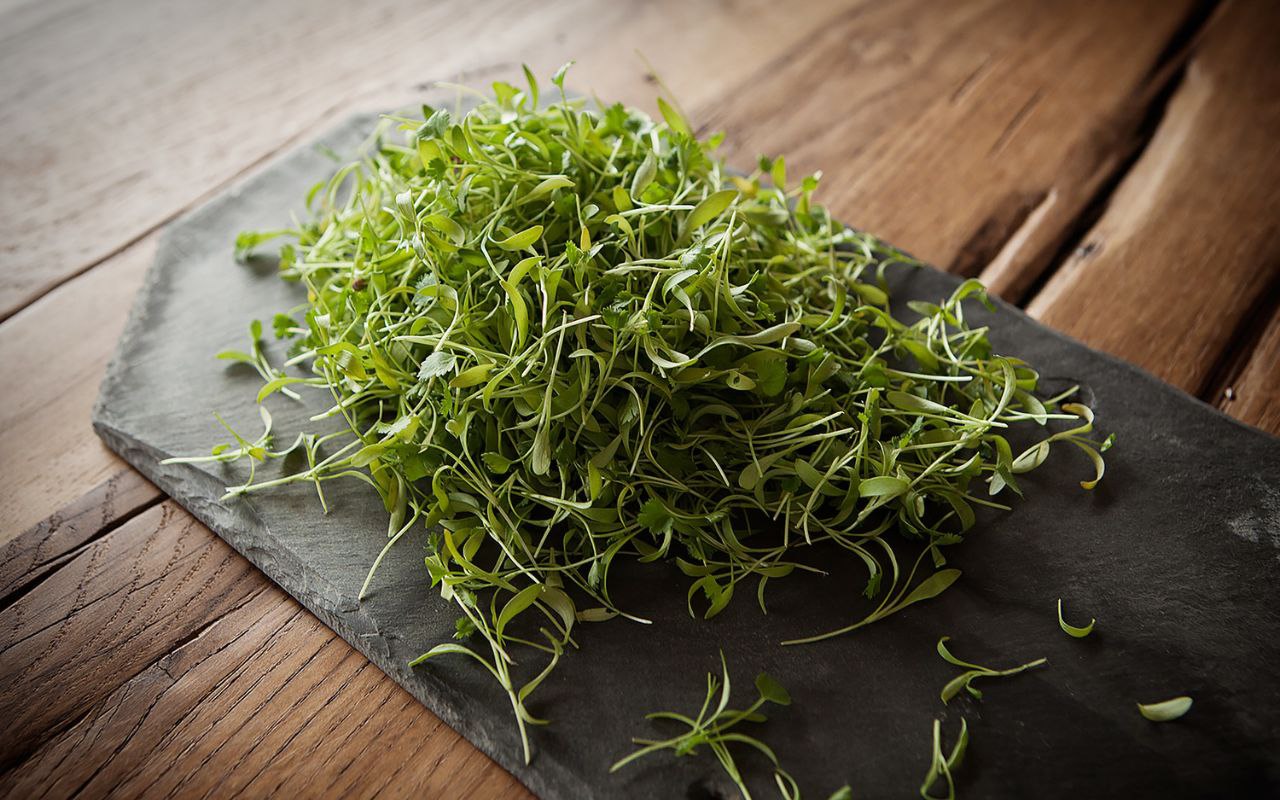Cum să păstrați frunzele de busuioc pentru a rămâne proaspete mai mult timp.