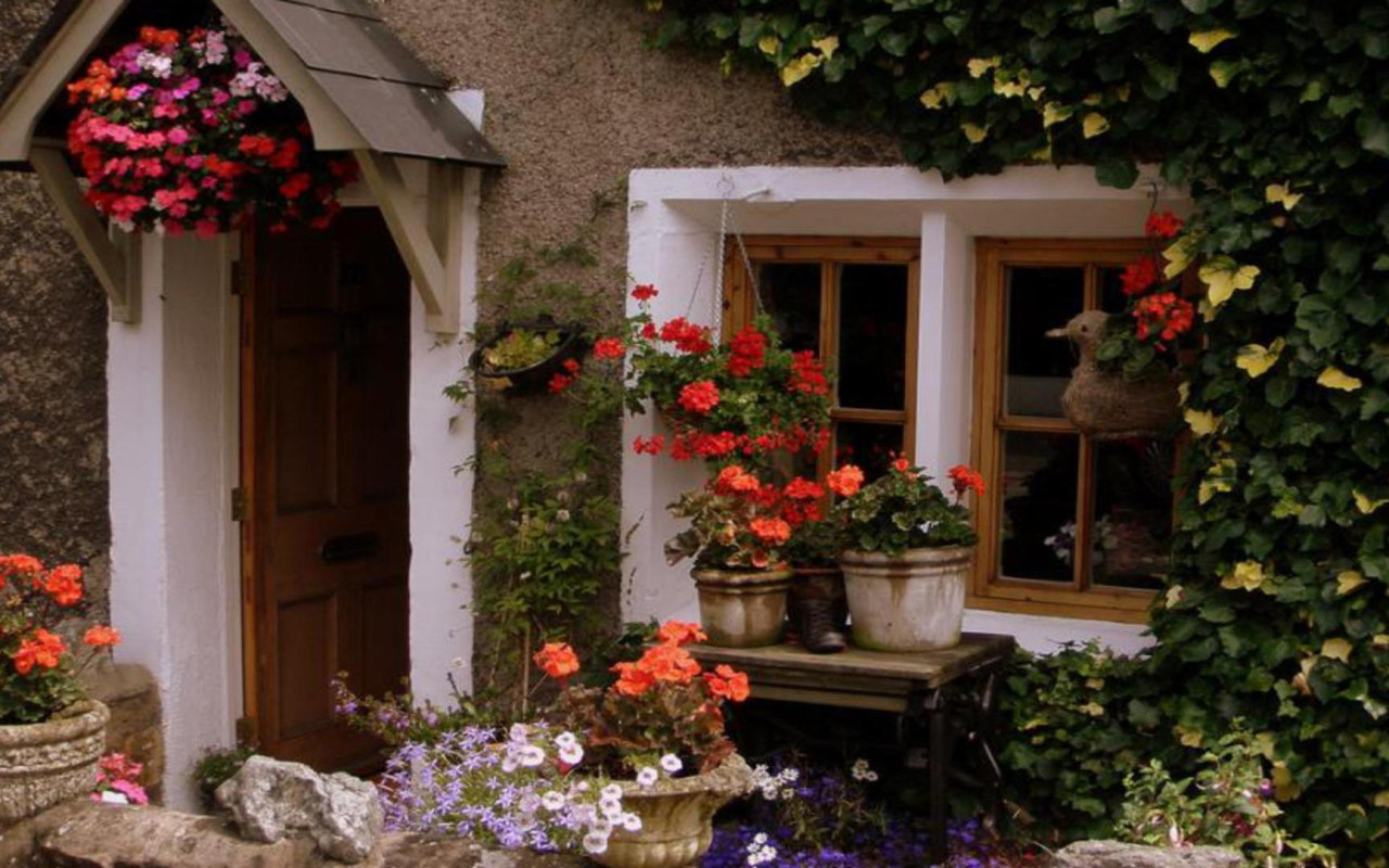 Terase decorate cu flori: 5 idei pentru a vă umple casa de culoare.