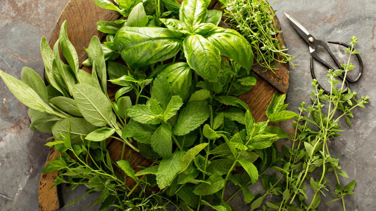 Feng Shui: Care sunt locurile din casă considerate sacre pentru amplasarea ghivecelor cu busuioc, rozmarin și mentă?