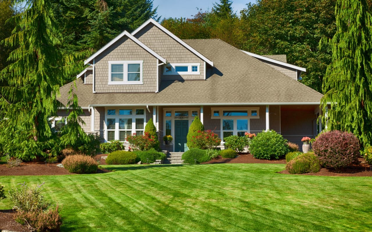 Viața în natură: trei case în care zonele verzi sunt locul de întâlnire.