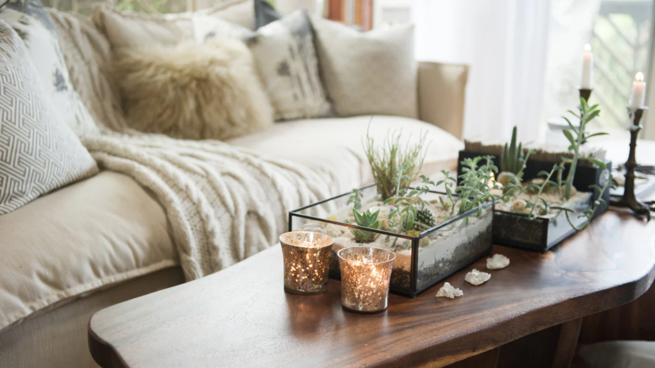 Ce înseamnă, din punct de vedere psihologic, să-ți umpli casa cu plante?