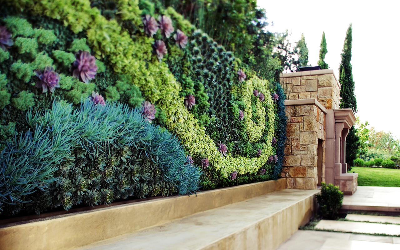 Flori create pe baza cercetărilor: trei noi specii de arbuscule glanduloase pentru amenajarea spațiilor deschise.