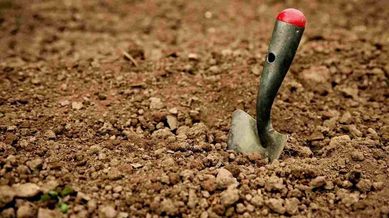 Înfingerea lingurilor vechi în solul de sub plante: de ce este recomandat