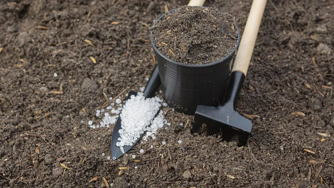 Înfingerea lingurilor vechi în solul de sub plante: de ce este recomandat