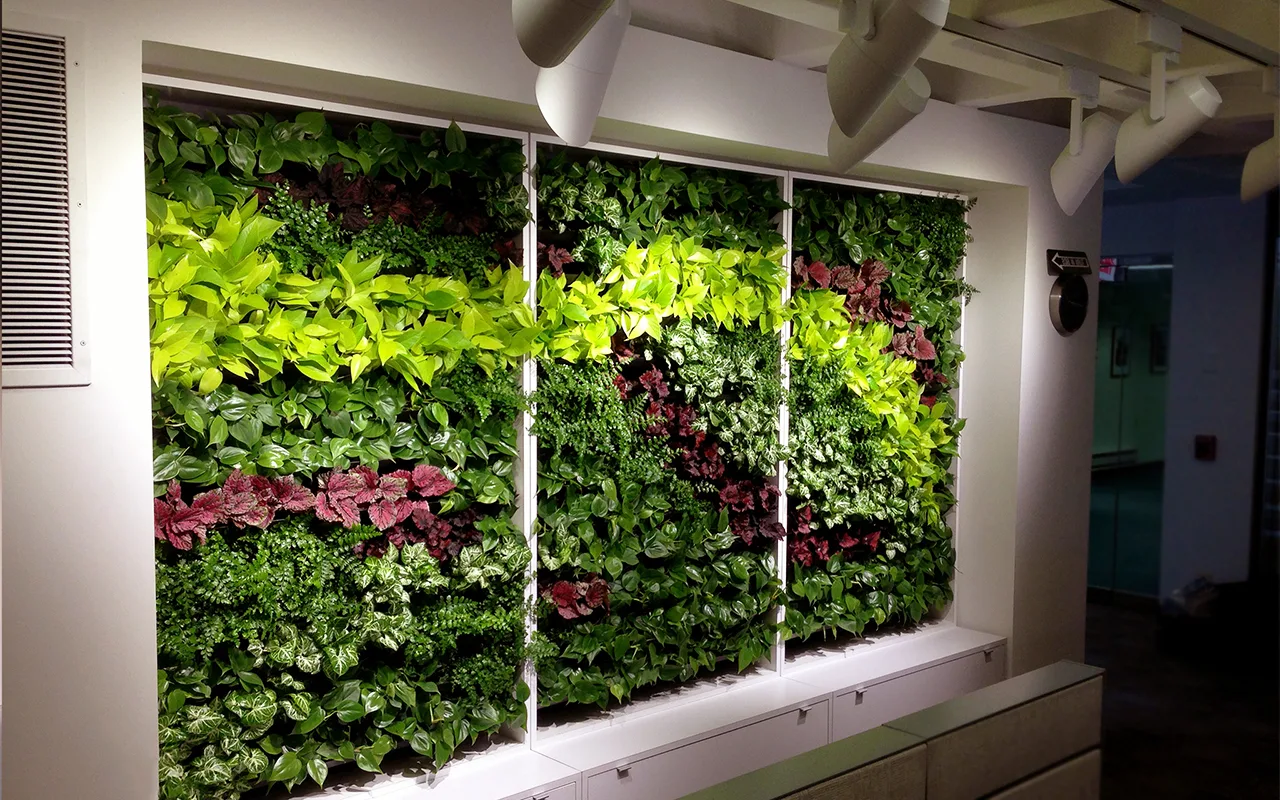 Flori create pe baza cercetărilor: trei noi specii de arbuscule glanduloase pentru amenajarea spațiilor deschise.