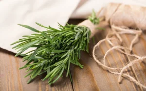 Nici orez, nici ouă: ce să adaugi la rozmarin pentru ca acesta să rămână verde tot anul?