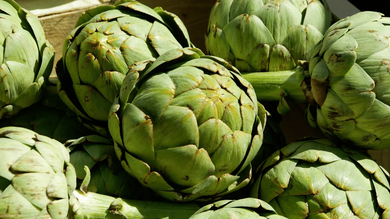 Anghinarea: proprietățile, beneficiile și caloriile acestui legumă de sezon.