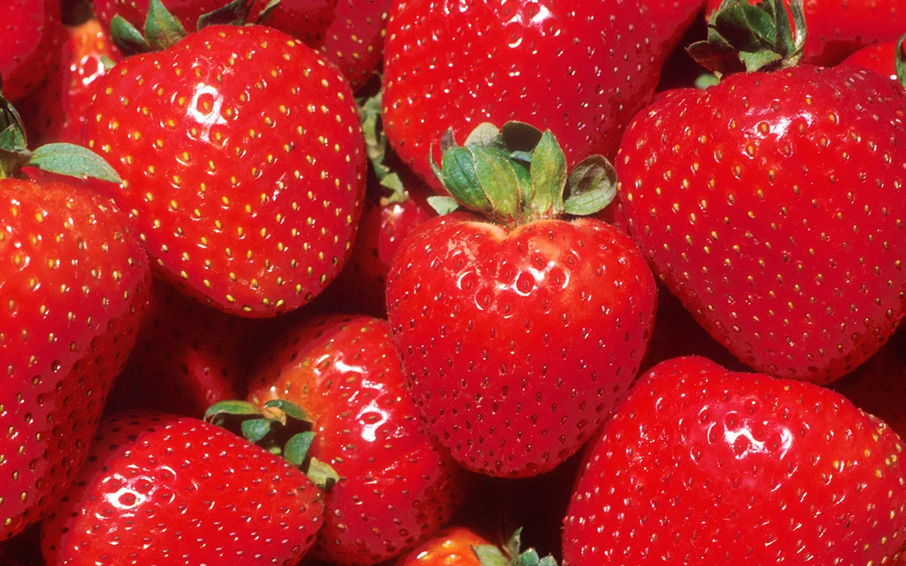 Care sunt avantajele consumului de căpșuni, fructul acestui sezon, bogat în vitamina C?