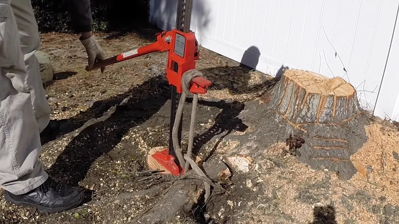 Toarnă asta în trunchi și se va descompune singur. Nu e nevoie să sapi.