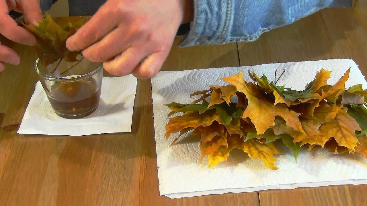 Cum să păstrați frunzele plantelor strălucitoare pe durata iernii americane