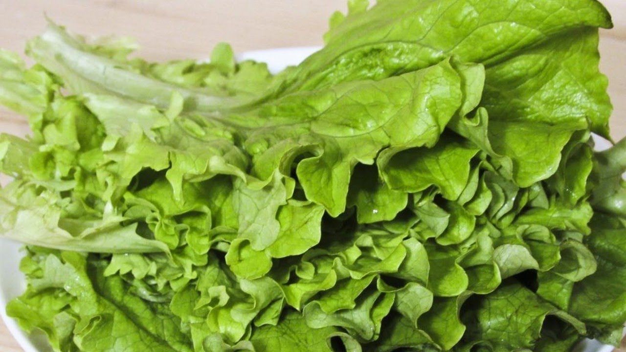 De ce oamenii din vechime culegeau salata frunză cu frunză în timpul iernii?