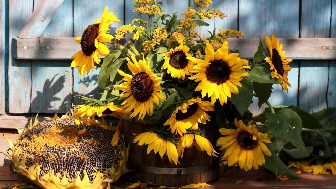 Nu este doar o decorație: florile plasate în centrul compoziției atrag bogăția.