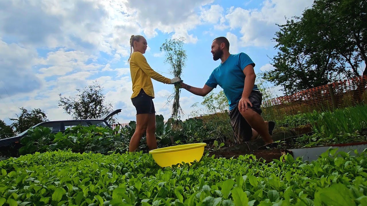 Cât va costa un lot pentru organizarea competițiilor ROD în 2026? Precizăm prețurile înainte de începerea sezonului.