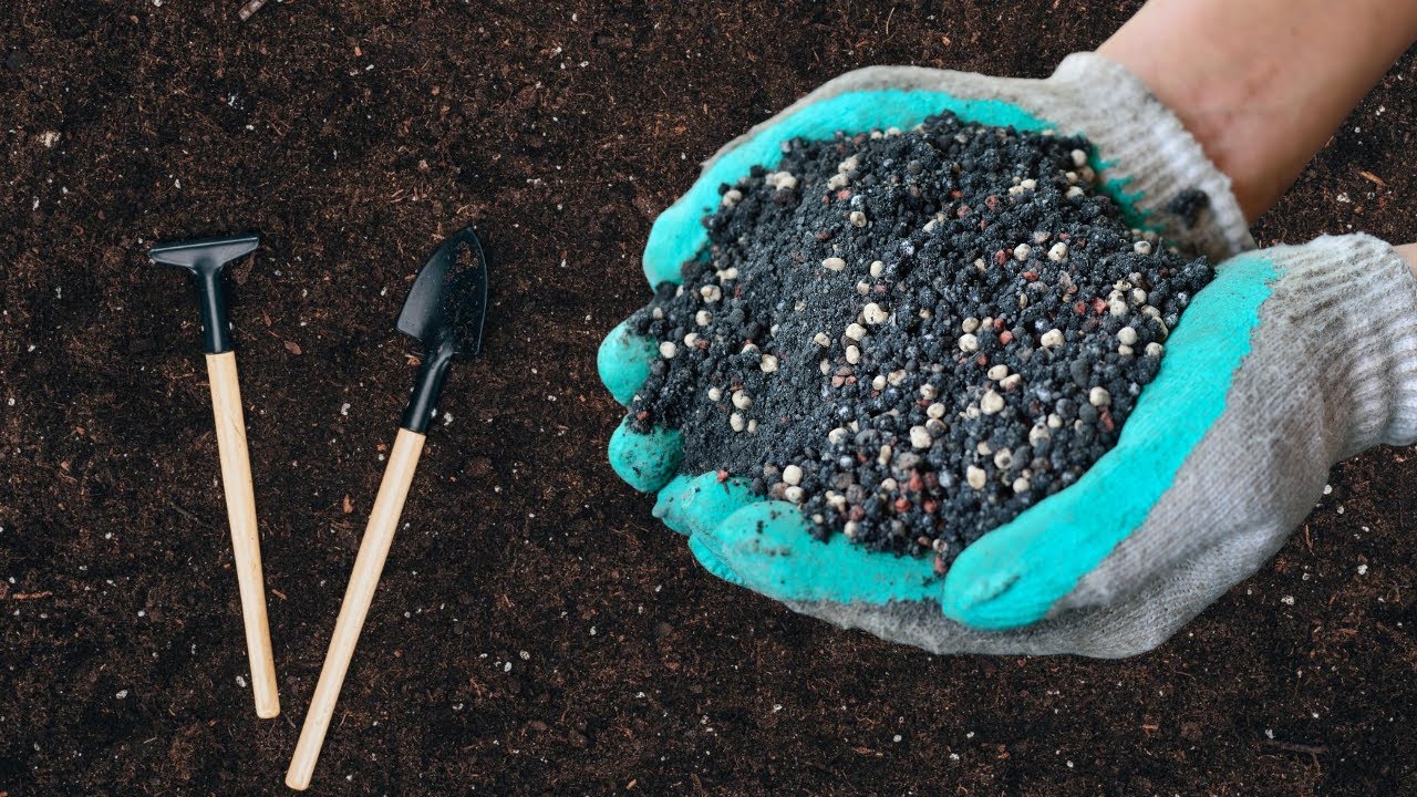 Înfingerea lingurilor vechi în solul de sub plante: de ce este recomandat