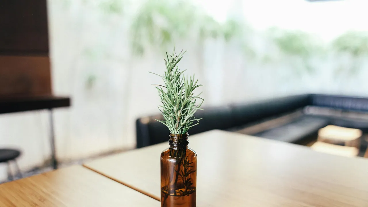 De ce este recomandat să puneți un vas cu rozmarin în dormitor și la ce servește acesta?