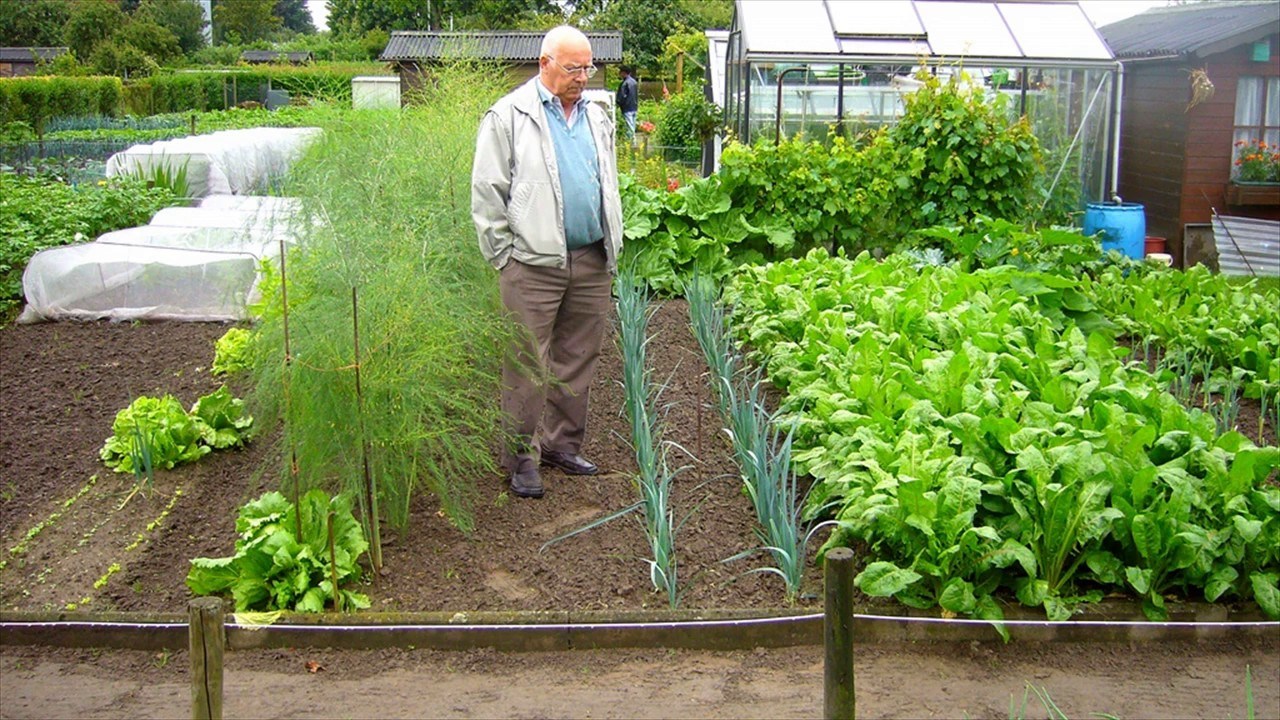 Cât va costa un lot pentru organizarea competițiilor ROD în 2026? Precizăm prețurile înainte de începerea sezonului.