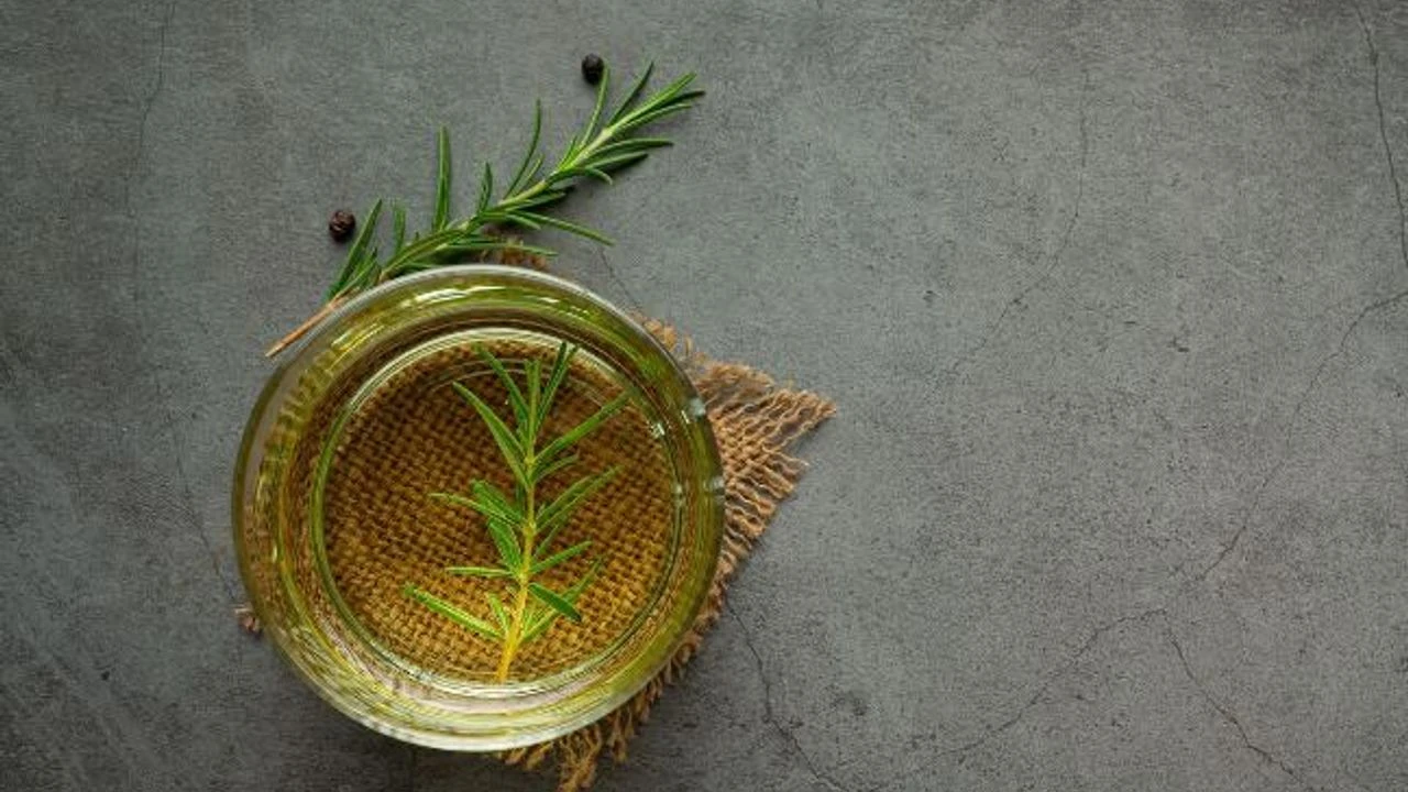 De ce este recomandat să puneți un vas cu rozmarin în dormitor și la ce servește acesta?