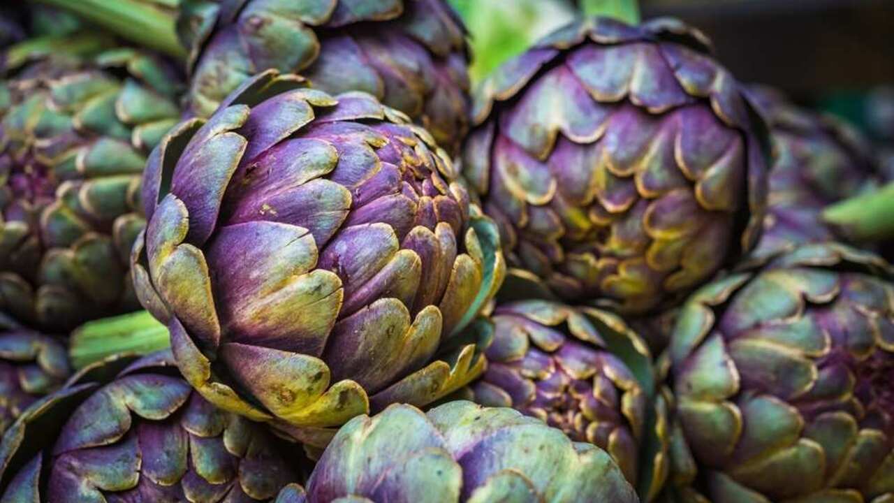 Anghinarea: proprietățile, beneficiile și caloriile acestui legumă de sezon.